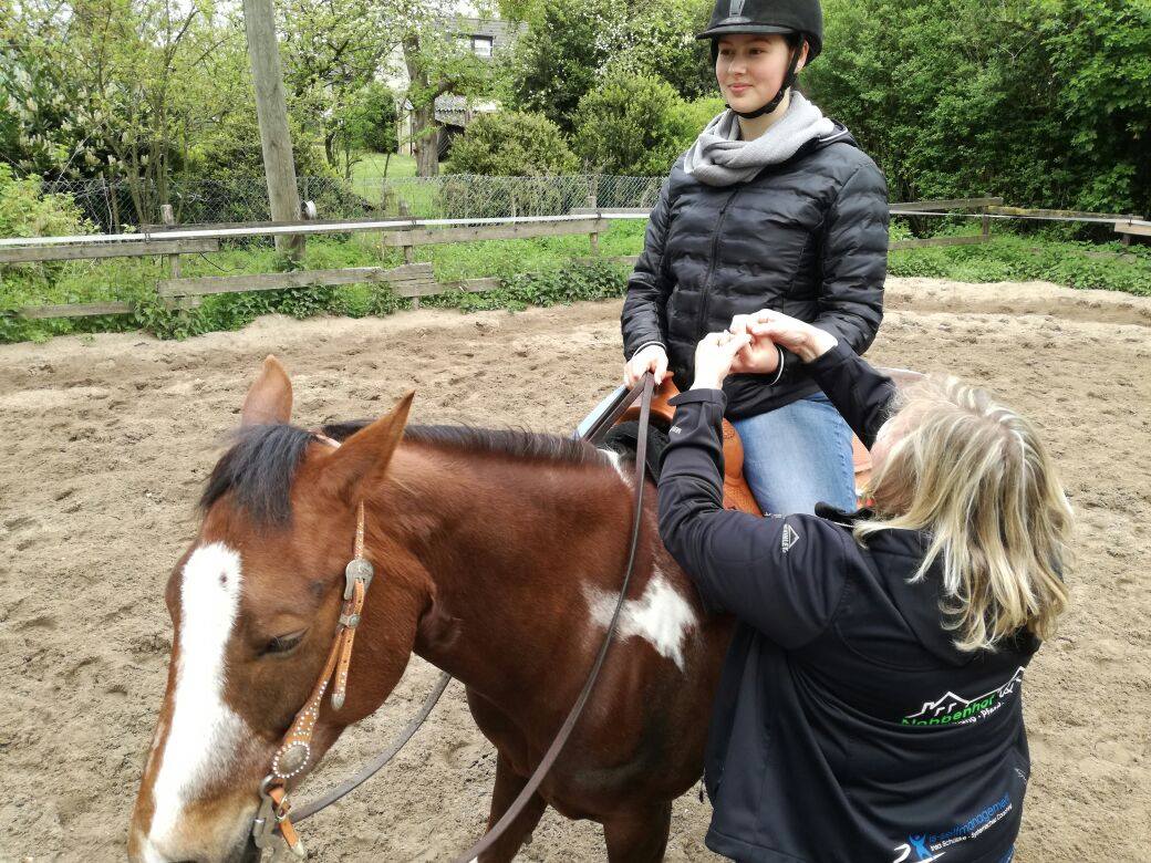 Angstfrei Reiten: Warum Bücher lesen alleine nicht ausreicht