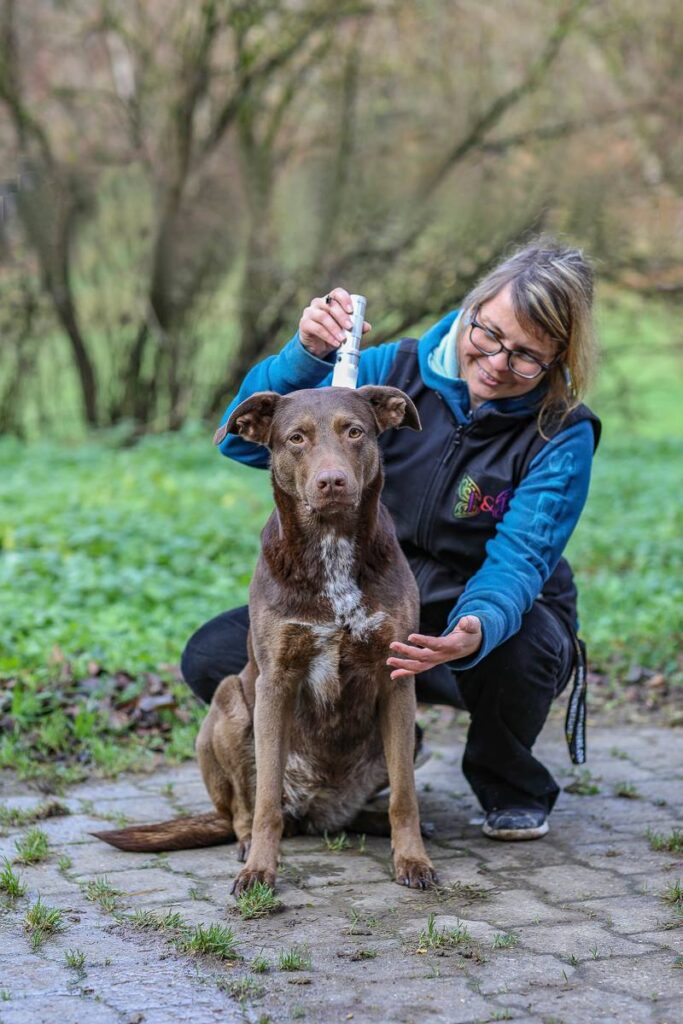 MarJPosa – Iris Gerber – Pferdetherapien