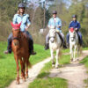 Ausbildungszentrum Eschbach Horsemanship